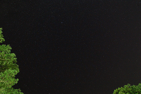 190727-jbr-8280