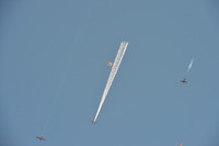 REMAX Skydivers