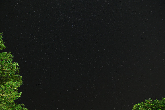 190727-jbr-8278