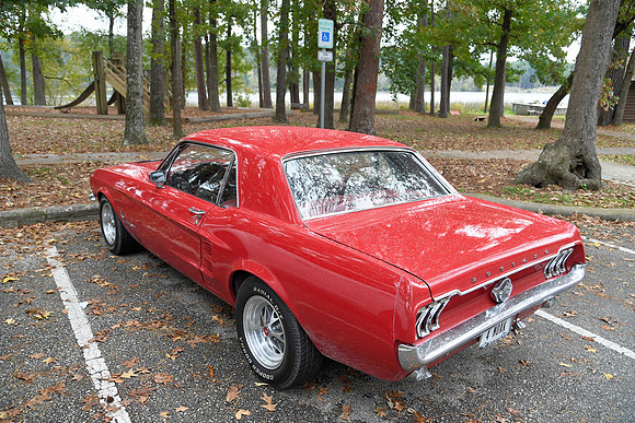 181110-jbr-7843