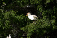 150612-jbr-0647