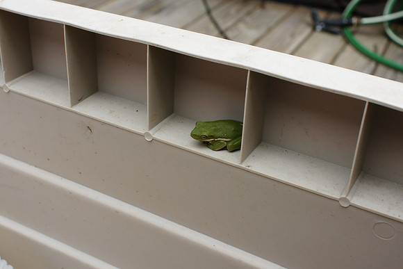 Taking shelter