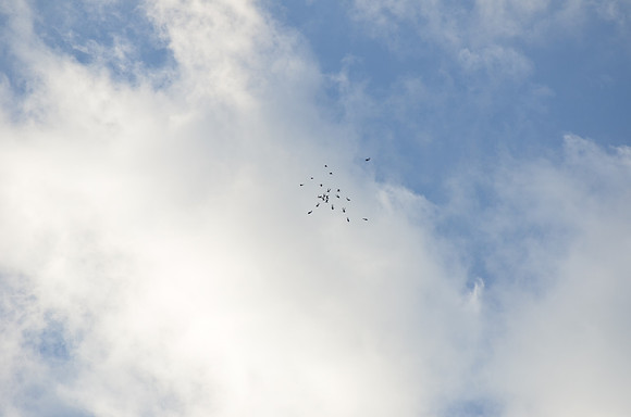 111023-JBR-360