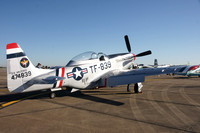 Static Display