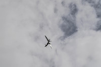 161023-jbr_d5-1915